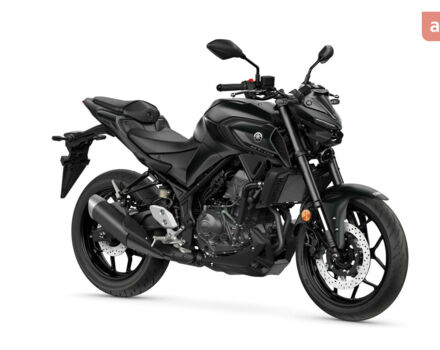 Ямаха MT-03, объемом двигателя 0.32 л и пробегом 0 тыс. км за 7425 $, фото 17 на Automoto.ua