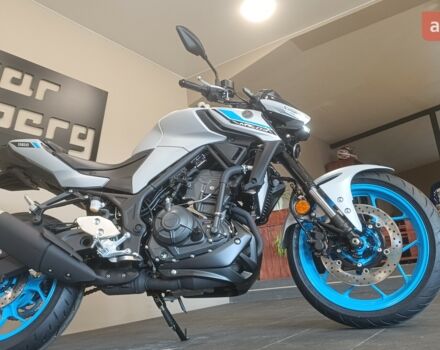 Ямаха MT-03, объемом двигателя 0.32 л и пробегом 0 тыс. км за 7115 $, фото 32 на Automoto.ua