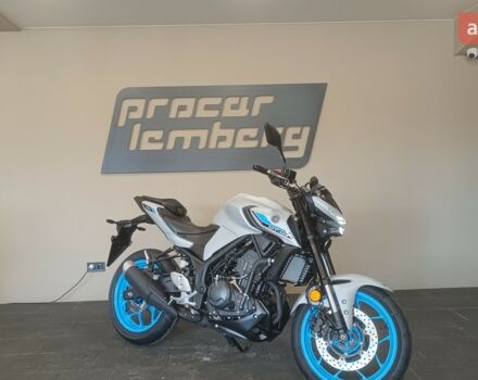 Ямаха MT-03, объемом двигателя 0.32 л и пробегом 0 тыс. км за 7115 $, фото 1 на Automoto.ua