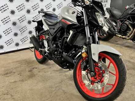 Ямаха MT-03 2019 в Житомире на Automoto.ua Ямаха MT-03, объемом двигателя 0.3 л и пробегом 21 тыс. км за 4100 $, фото 1 на Automoto.ua