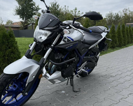 Сірий Ямаха MT-03, об'ємом двигуна 0.32 л та пробігом 19 тис. км за 3500 $, фото 23 на Automoto.ua