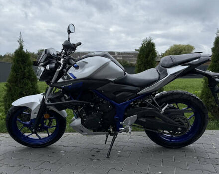 Сірий Ямаха MT-03, об'ємом двигуна 0.32 л та пробігом 19 тис. км за 3500 $, фото 19 на Automoto.ua