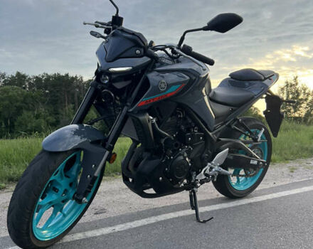 Серый Ямаха MT-03, объемом двигателя 0.32 л и пробегом 9 тыс. км за 5400 $, фото 1 на Automoto.ua