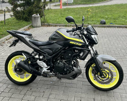 Ямаха MT-03 2017 в Львове на Automoto.ua Серый Ямаха MT-03, объемом двигателя 0.32 л и пробегом 10 тыс. км за 4200 $, фото 1 на Automoto.ua