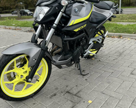 Ямаха MT-03 2017 в Львове на Automoto.ua Серый Ямаха MT-03, объемом двигателя 0.32 л и пробегом 10 тыс. км за 4200 $, фото 11 на Automoto.ua
