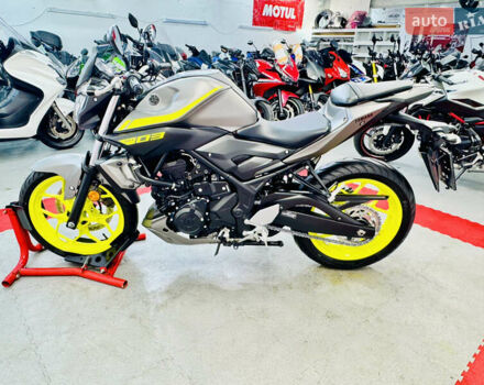 Серый Ямаха MT-03, объемом двигателя 0.32 л и пробегом 3 тыс. км за 5000 $, фото 9 на Automoto.ua