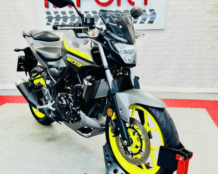 Серый Ямаха MT-03, объемом двигателя 0.32 л и пробегом 3 тыс. км за 5000 $, фото 27 на Automoto.ua