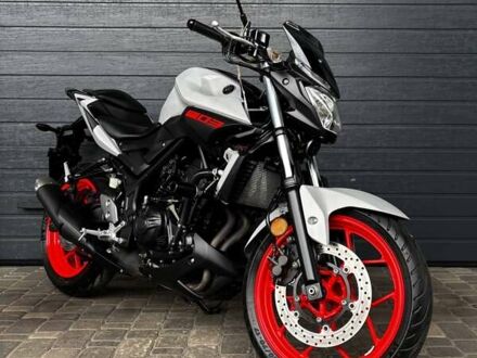 Ямаха MT-03 2017 в Белой Церкве на Automoto.ua Серый Ямаха MT-03, объемом двигателя 0.3 л и пробегом 24 тыс. км за 4300 $, фото 1 на Automoto.ua