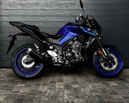 Синий Ямаха MT-03, объемом двигателя 0.32 л и пробегом 15 тыс. км за 5500 $, фото 1 на Automoto.ua