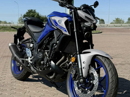 Синий Ямаха MT-03, объемом двигателя 0.32 л и пробегом 16 тыс. км за 5300 $, фото 1 на Automoto.ua