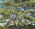 Серый Ямаха MT-07, объемом двигателя 0.69 л и пробегом 13 тыс. км за 8700 $, фото 10 на Automoto.ua