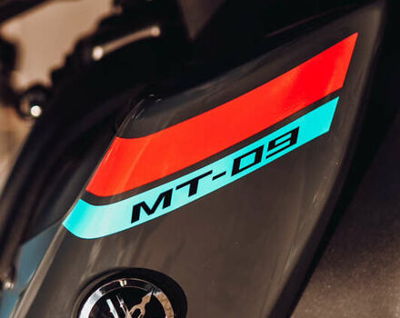 Ямаха MT-09, об'ємом двигуна 0.89 л та пробігом 25 тис. км за 10400 $, фото 18 на Automoto.ua