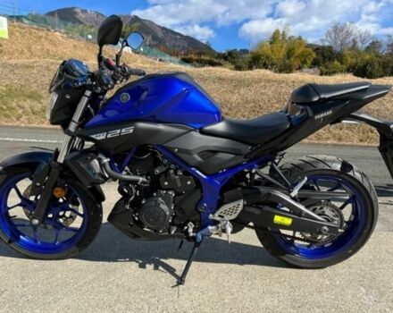 Ямаха MT-25, об'ємом двигуна 0.25 л та пробігом 0 тис. км за 4249 $, фото 1 на Automoto.ua