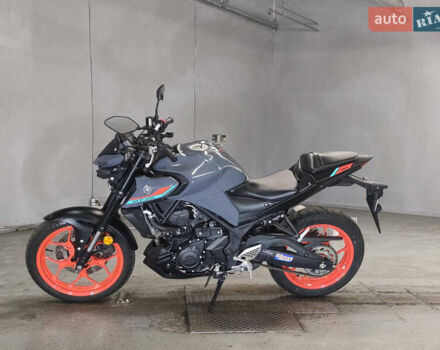 Серый Ямаха MT-25, объемом двигателя 0.25 л и пробегом 5 тыс. км за 4900 $, фото 1 на Automoto.ua
