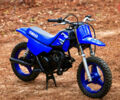 купить новое авто Ямаха PW 50 2024 года от официального дилера Мотосалон Yamaha Ямаха фото