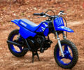 купить новое авто Ямаха PW 50 2024 года от официального дилера Мотосалон Yamaha Ямаха фото