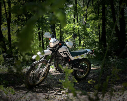 Білий Ямаха Serow 250, об'ємом двигуна 0.25 л та пробігом 60 тис. км за 3965 $, фото 21 на Automoto.ua