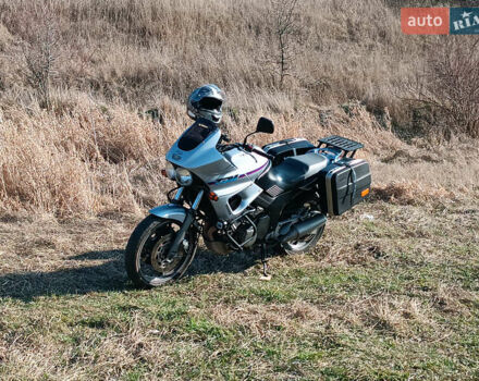 Сірий Ямаха TDM 850, об'ємом двигуна 0.85 л та пробігом 68 тис. км за 2800 $, фото 8 на Automoto.ua