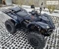 Синій Ямаха Wolverine 450, об'ємом двигуна 0.45 л та пробігом 2 тис. км за 4180 $, фото 1 на Automoto.ua