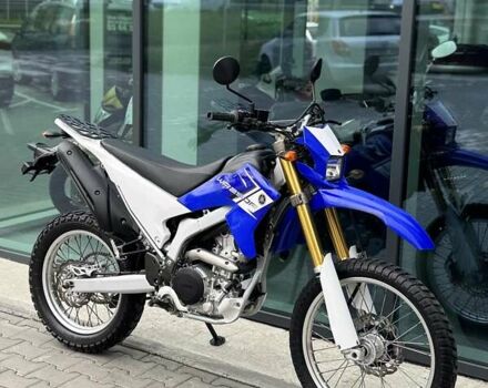 Синий Ямаха WR 250R, объемом двигателя 0.25 л и пробегом 27 тыс. км за 6799 $, фото 28 на Automoto.ua