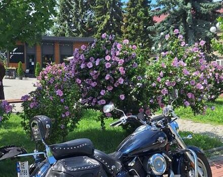 Синій Ямаха XVS 1100 V-Star, об'ємом двигуна 0 л та пробігом 55 тис. км за 6300 $, фото 4 на Automoto.ua