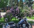 Синій Ямаха XVS 1100 V-Star, об'ємом двигуна 0 л та пробігом 55 тис. км за 6300 $, фото 4 на Automoto.ua