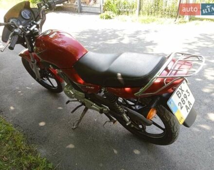 Красный Ямаха YBR125, объемом двигателя 0.12 л и пробегом 14 тыс. км за 1600 $, фото 6 на Automoto.ua