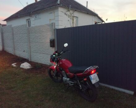 Ямаха YBR 125, объемом двигателя 0.13 л и пробегом 0 тыс. км за 1181 $, фото 4 на Automoto.ua