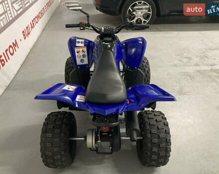 Синий Ямаха YFM 110R, объемом двигателя 0 л и пробегом 1 тыс. км за 3597 $, фото 1 на Automoto.ua