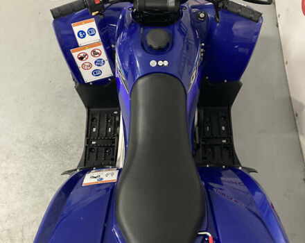 Синий Ямаха YFZ 50, объемом двигателя 0 л и пробегом 1 тыс. км за 1933 $, фото 6 на Automoto.ua