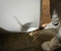 Білий ЗАЗ 1102 Таврія, об'ємом двигуна 0 л та пробігом 225 тис. км за 364 $, фото 4 на Automoto.ua
