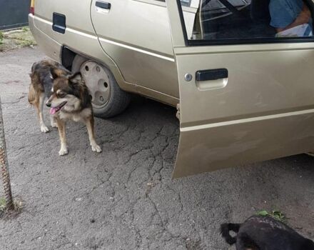Бежевий ЗАЗ 1102 Таврія, об'ємом двигуна 1.2 л та пробігом 42 тис. км за 1090 $, фото 1 на Automoto.ua