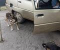 Бежевий ЗАЗ 1102 Таврія, об'ємом двигуна 1.2 л та пробігом 42 тис. км за 1090 $, фото 1 на Automoto.ua
