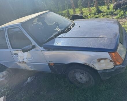 Серый ЗАЗ 1103 Славута, объемом двигателя 0 л и пробегом 356 тыс. км за 300 $, фото 3 на Automoto.ua