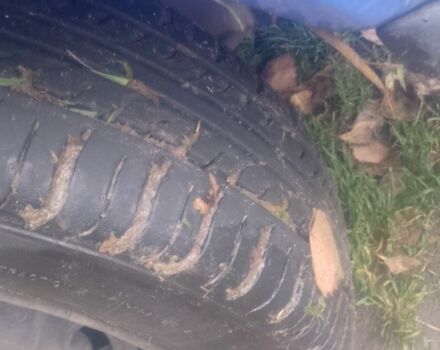 Синий ЗАЗ 1103 Славута, объемом двигателя 1.2 л и пробегом 123 тыс. км за 357 $, фото 3 на Automoto.ua