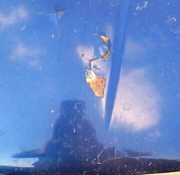 Синий ЗАЗ 1103 Славута, объемом двигателя 1.2 л и пробегом 87 тыс. км за 700 $, фото 2 на Automoto.ua