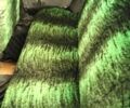 Зеленый ЗАЗ 1103 Славута, объемом двигателя 0 л и пробегом 100 тыс. км за 800 $, фото 6 на Automoto.ua