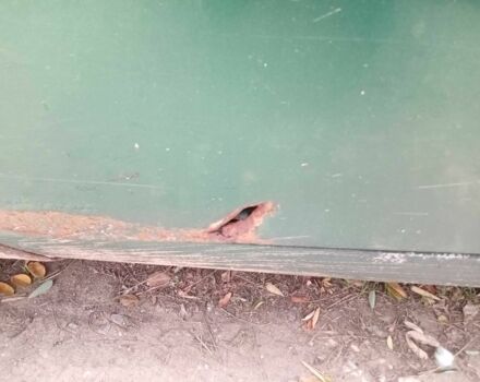 Зеленый ЗАЗ 1103 Славута, объемом двигателя 1.2 л и пробегом 20 тыс. км за 900 $, фото 4 на Automoto.ua