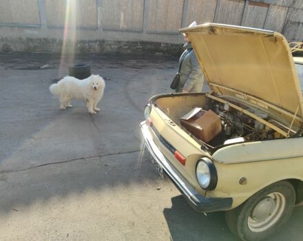 Бежевый ЗАЗ 968, объемом двигателя 1.2 л и пробегом 20 тыс. км за 291 $, фото 1 на Automoto.ua