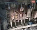 Зеленый ЗАЗ 968 М, объемом двигателя 1.1 л и пробегом 126 тыс. км за 700 $, фото 23 на Automoto.ua