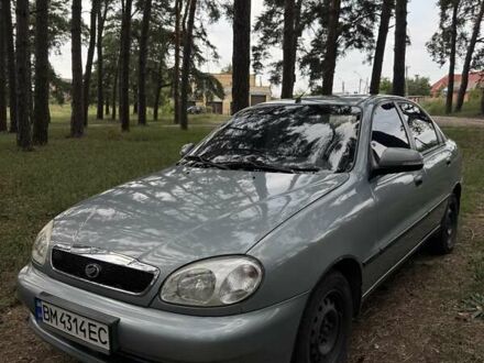 ЗАЗ Ланос 2014 в Сумах на Automoto.ua Серый ЗАЗ Ланос, объемом двигателя 1.4 л и пробегом 169 тыс. км за 4450 $, фото 1 на Automoto.ua