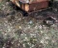 ЗАЗ Луаз-Волынь, объемом двигателя 12 л и пробегом 0 тыс. км за 360 $, фото 3 на Automoto.ua