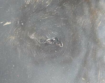 Черный ЗАЗ Сенс, объемом двигателя 1.3 л и пробегом 112 тыс. км за 2300 $, фото 13 на Automoto.ua