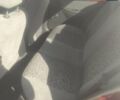 ЗАЗ Сенс 2011 в Кривом Роге на Automoto.ua Красный ЗАЗ Сенс, объемом двигателя 1.3 л и пробегом 71 тыс. км за 3000 $, фото 1 на Automoto.ua