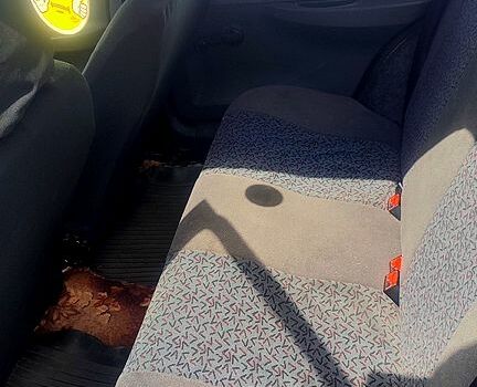 Синий ЗАЗ Славута, объемом двигателя 12 л и пробегом 32 тыс. км за 1600 $, фото 2 на Automoto.ua