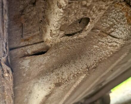 ЗАЗ Таврія-Пікап 2003 у Запоріжжя на Automoto.ua Білий ЗАЗ Таврія-Пікап, об'ємом двигуна 1.2 л та пробігом 250 тис. км за 730 $, фото 11 на Automoto.ua