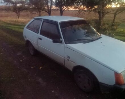 ЗАЗ Таврия 1992 в Николаеве на Automoto.ua Белый ЗАЗ Таврия, объемом двигателя 1.1 л и пробегом 50 тыс. км за 191 $, фото 4 на Automoto.ua