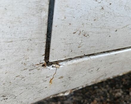 Белый ЗАЗ Таврия, объемом двигателя 1.2 л и пробегом 169 тыс. км за 591 $, фото 10 на Automoto.ua