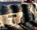 Красный ЗАЗ Таврия, объемом двигателя 1.1 л и пробегом 160 тыс. км за 1050 $, фото 4 на Automoto.ua
