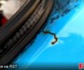 ЗАЗ Таврия, объемом двигателя 1.1 л и пробегом 0 тыс. км за 600 $, фото 12 на Automoto.ua